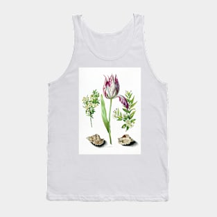 Maria Sibylla Merian Tulip, Two Branches of Myrtle and Two Shells Tank Top